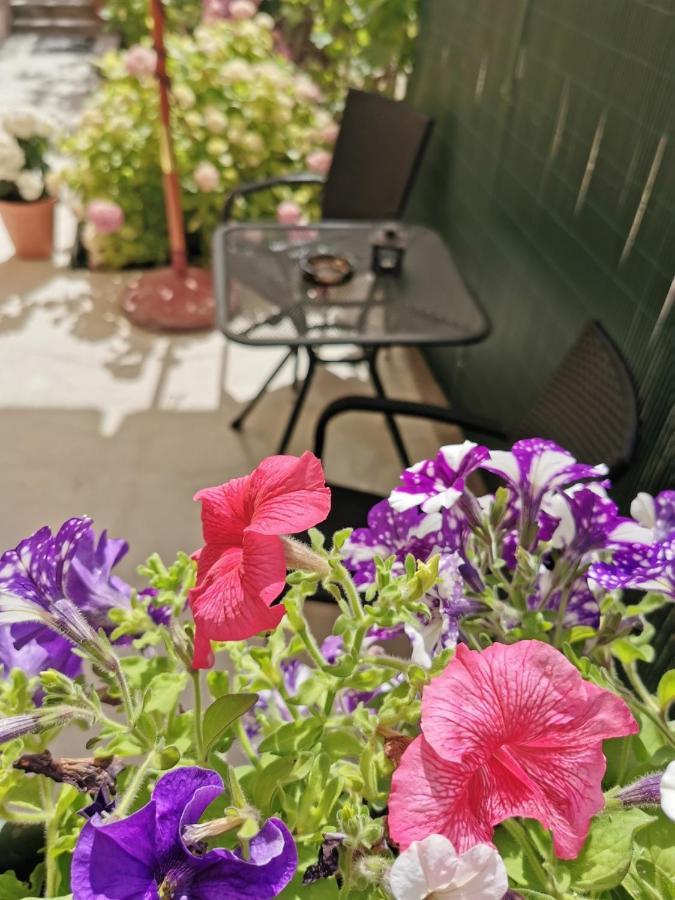 Apartment Martina Banjol エクステリア 写真
